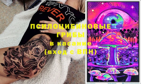 первитин Гусев
