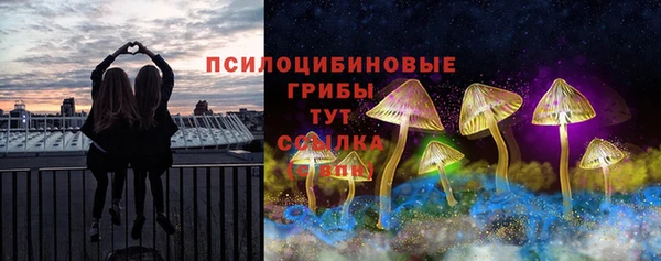 экстази Гусиноозёрск