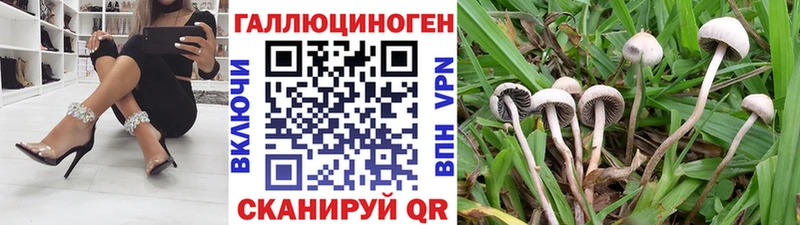 Галлюциногенные грибы GOLDEN TEACHER  Петушки 
